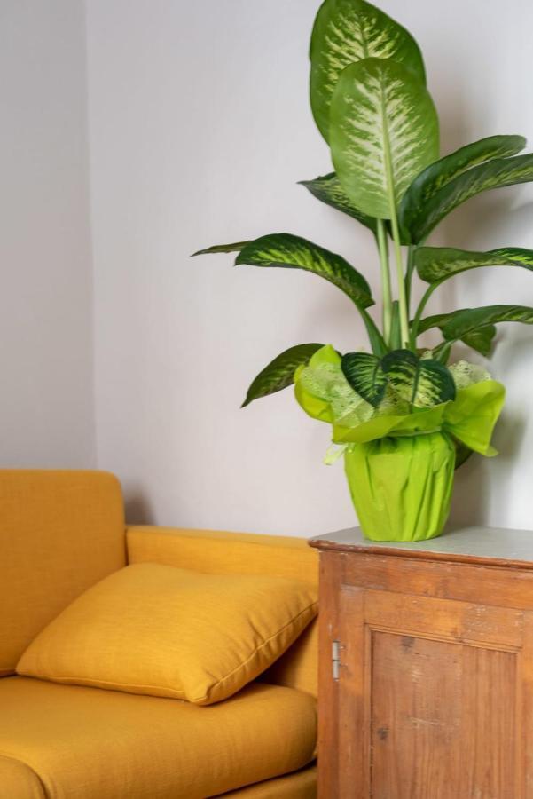 San Zanobi Family Suite In Firenze Esterno foto
